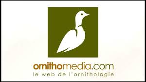 ornithomedia.com